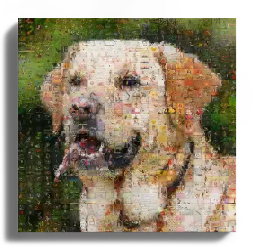 Erstelle dein individuelles Hunde-Fotomosaik – personalisiertes Geschenk