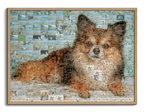 Individuelles Fotomosaik Hundeportrait
