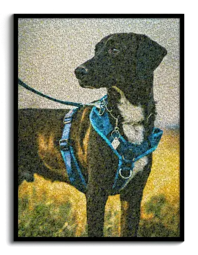 Individuelles Fotomosaik Hundeportrait